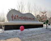 绥化天气预报60天