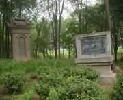 封丘天气预报40天