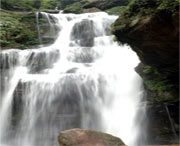 天台天气预报60天