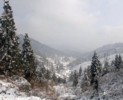 武冈天气预报7天