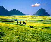 罗平天气预报15天